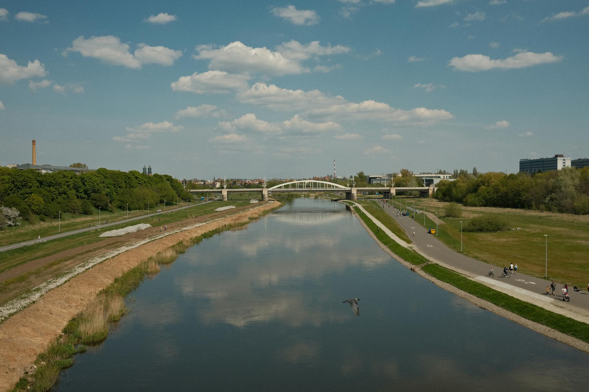 Spacerowa ścieżka nad rzeką z mostem i przechodniami w Poznaniu